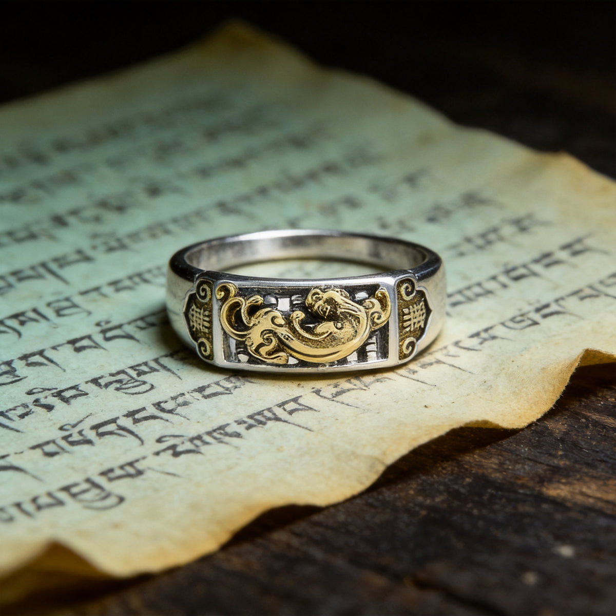 Kailash Way Feng Shui Pixiu Wealth Protection Ring front view with stone setting